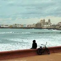 6686体育中级作者Xenia