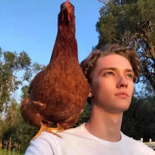 6686体育海外作者Benjamin