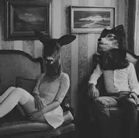 6686体育特邀作者盛夏剩下