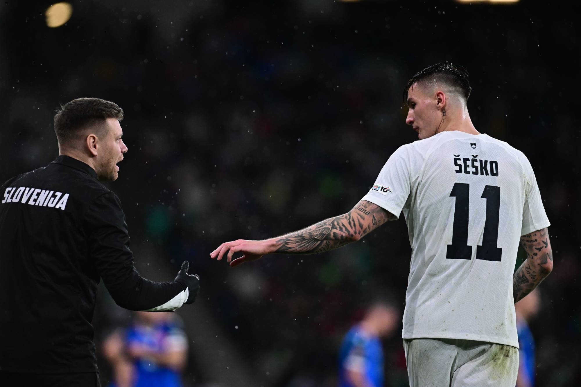 斯洛維尼亞官方：謝什科因傷無法競賽練習，無緣本月世預賽