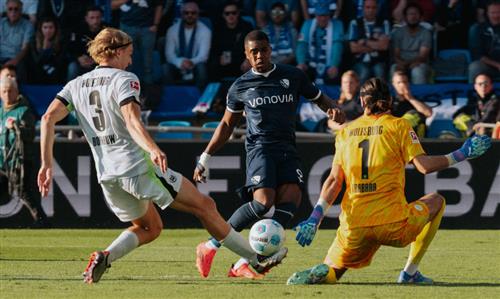 波鴻 vfl 沃爾夫斯堡