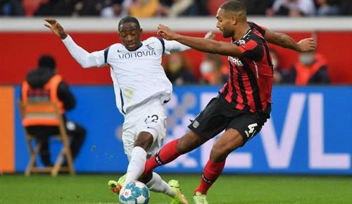 勒沃庫森 vs 波鴻歷史戰績