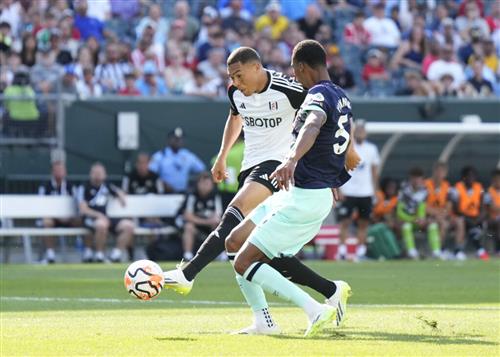 富勒姆 vs 布倫特福德