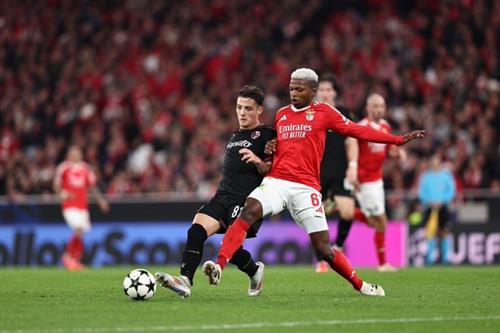 本菲卡 vs 博洛尼亞