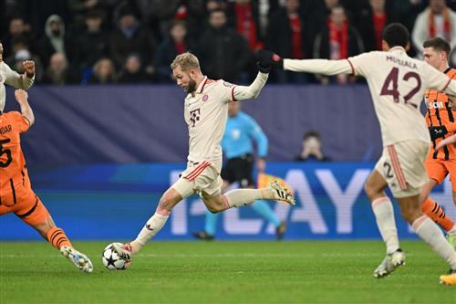 頓涅茨克礦工 vs 拜仁慕尼黑