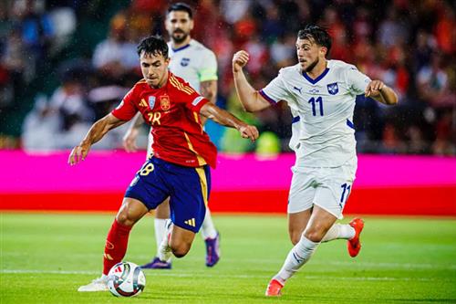 西班牙 vs 塞爾維亞